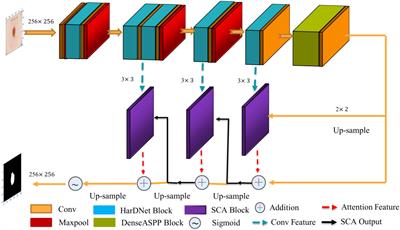 Automatic polyp image segmentation and cancer prediction based on deep learning